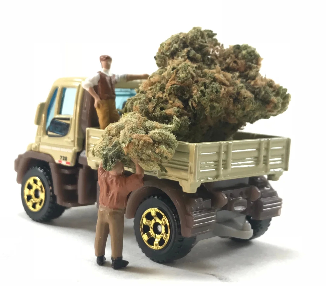 Tips for Choosing a Fast Weed Delivery Service