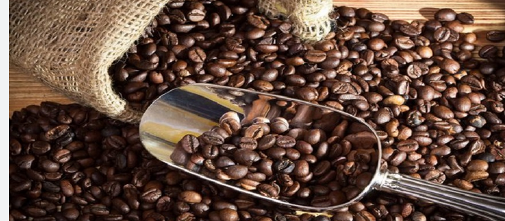 Discover Unique premium Flavors and Taste Notes In Our Finest Collection Of premium Coffee