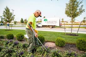 Why Professional Commercial Landscaping Is a Smart Investment for California Businesses